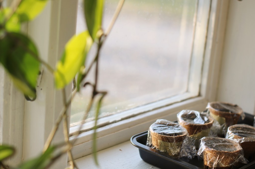 Första odlingsonsdagen