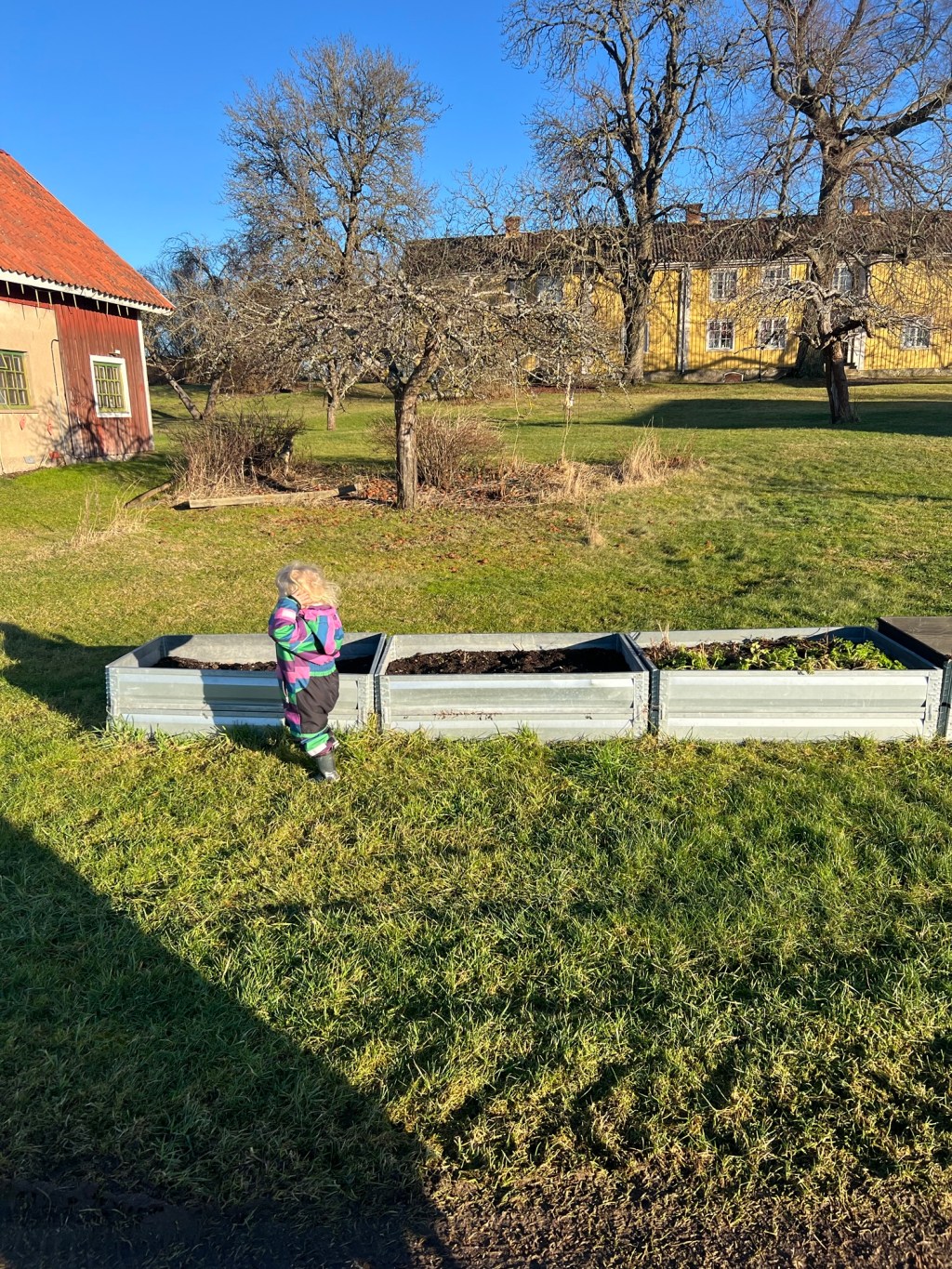 Allt vi ska odla&nbsp;2025